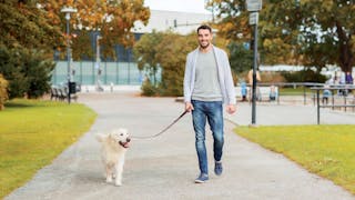 A spasso col cane: una salute, un benessere
